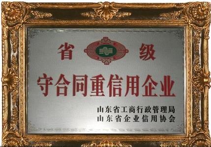 公司荣誉